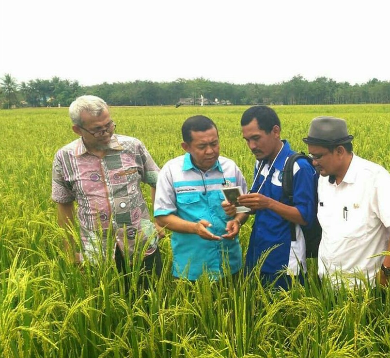 Diduga Ada Penyimpangan Program Cetak Sawah 2014,2015 Dan 2016 Di Kab. OKI