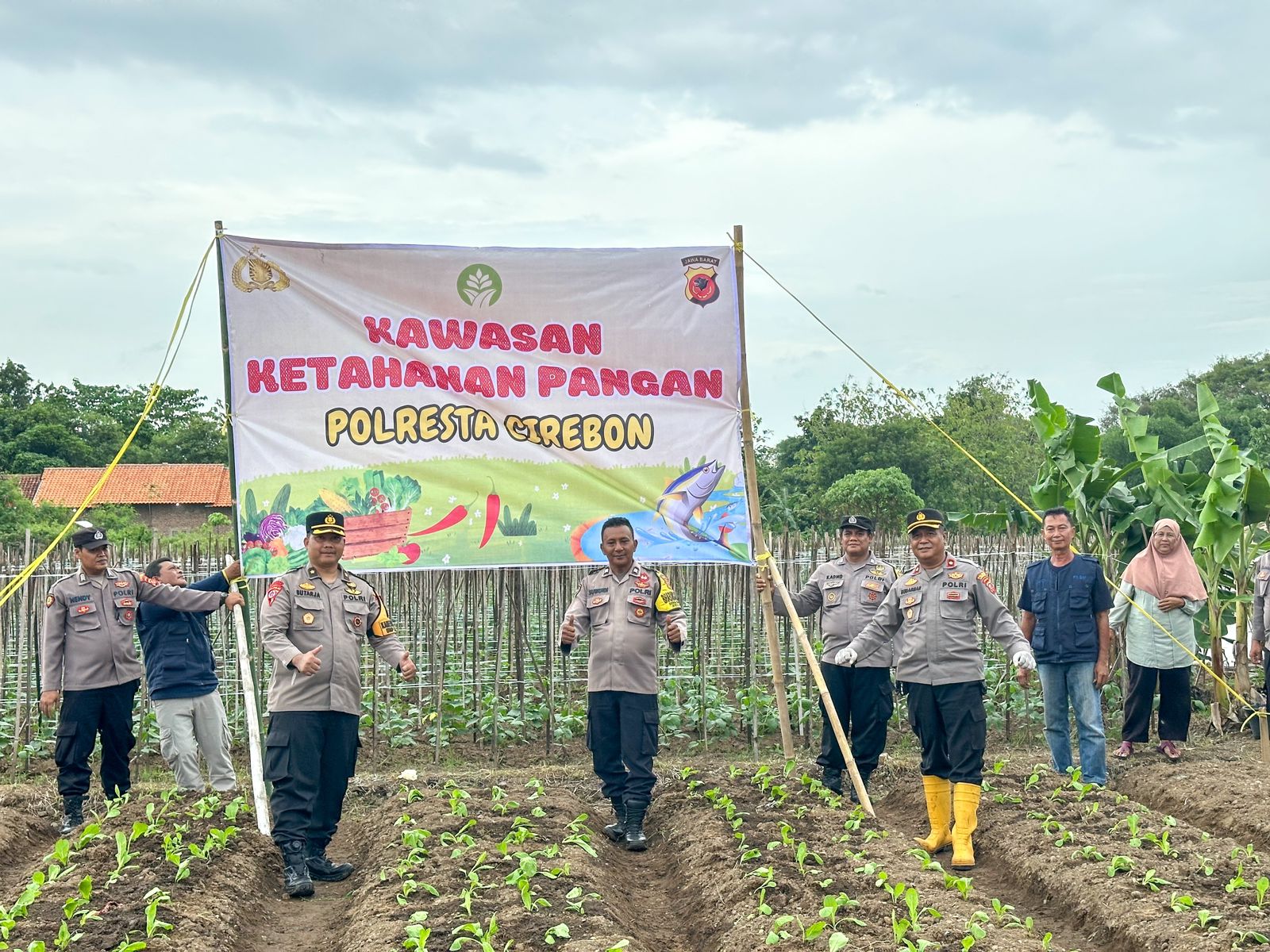 Polresta Cirebon Laksanakan Penanaman Sawi Jebung Dalam Rangka Ketahanan Pangan Di Desa Megugede