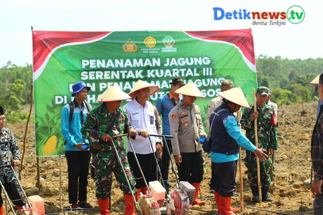 Penanaman Kuartal III di Lahan Perhutanan Sosial, Dukung Ketahanan Pangan Nasional