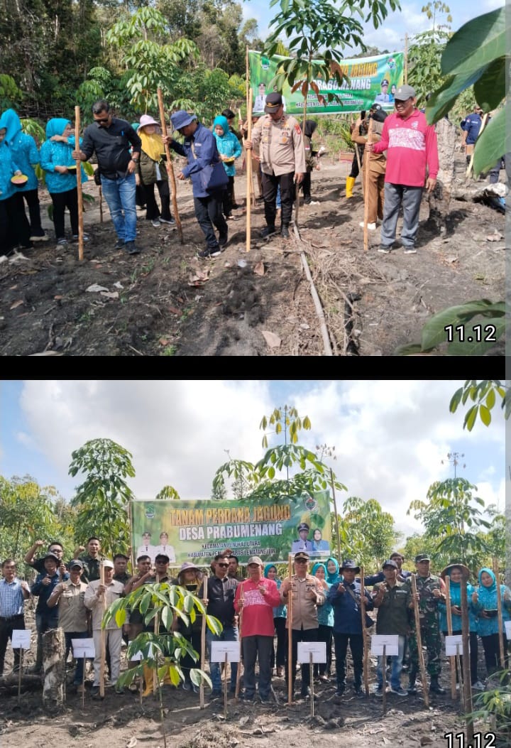 Polsek Penukal Utara Dukung Ketahanan Pangan Melalui Penanaman Jagung