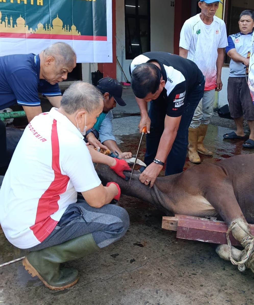 Idul Adha 1447 H: KONI Sumsel Potong 6 Hewan Kurban dan Makan Siang Bersama Perkuat Rasa Kekeluargaan